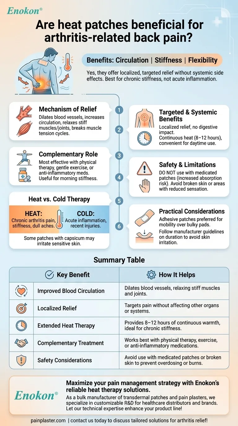 Os pensos térmicos são benéficos para as dores de costas relacionadas com a artrite?Descubra o alívio direcionado para as articulações rígidas Guia Visual