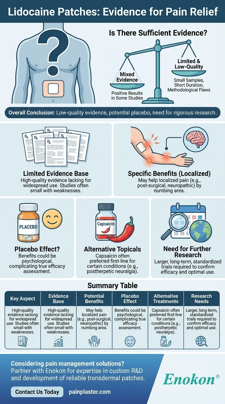 リドカインパッチが効果的な鎮痛法であることを裏付ける十分な証拠はありますか？ ビジュアルガイド