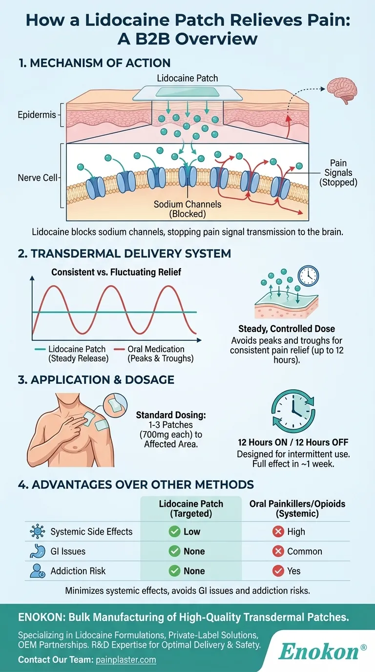 リドカインパッチはどのように痛みを和らげるのか？標的疼痛緩和の説明 ビジュアルガイド