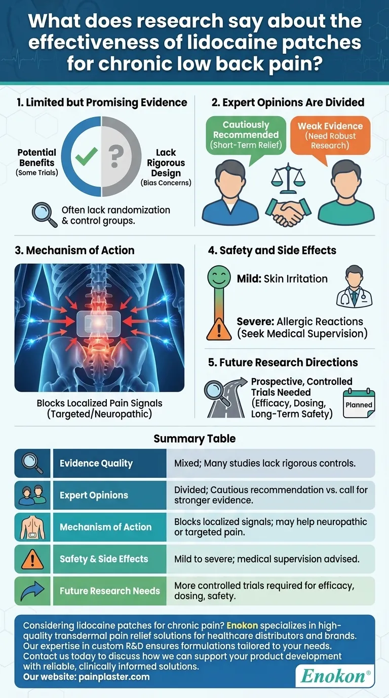 慢性腰痛に対するリドカインパッチの有効性について、研究はどのように述べていますか？ ビジュアルガイド