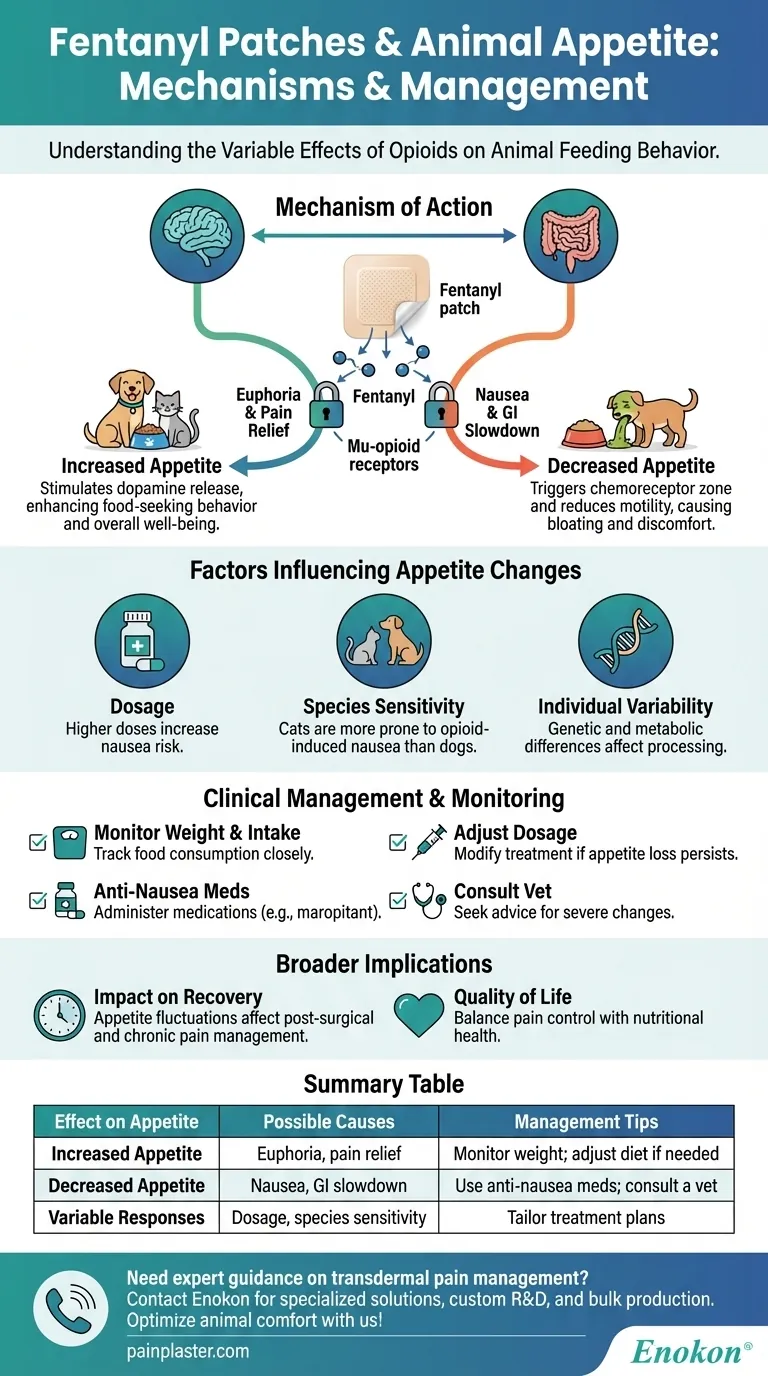 芬太尼贴片如何影响动物的食欲？了解各种反应 图解指南