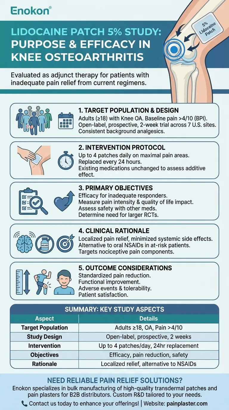 What was the purpose of the lidocaine patch 5% study in osteoarthritis patients? Evaluating Adjunct Pain Relief Visual Guide