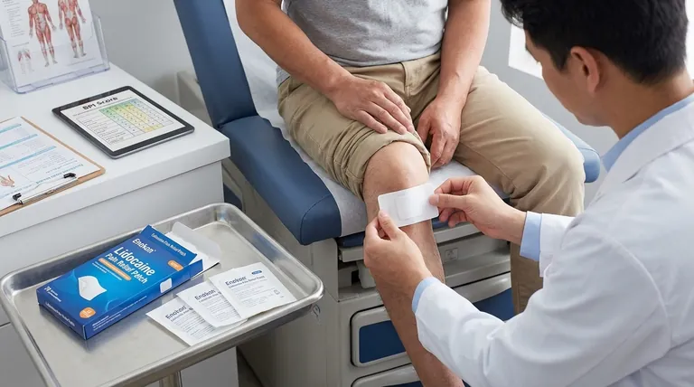 リドカインパッチ5%試験の患者の組み入れ基準は?主要条件の説明