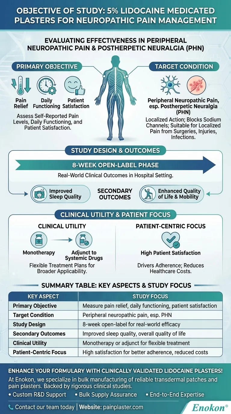 5％リドカイン薬用プラスターに関する研究の目的は？疼痛緩和とQOLの評価 ビジュアルガイド