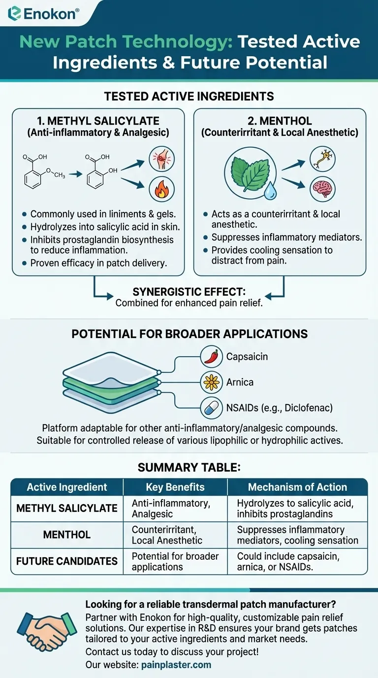 新しいパッチ技術でテストされた他の有効成分とは？多用途の疼痛緩和ソリューションを探る ビジュアルガイド