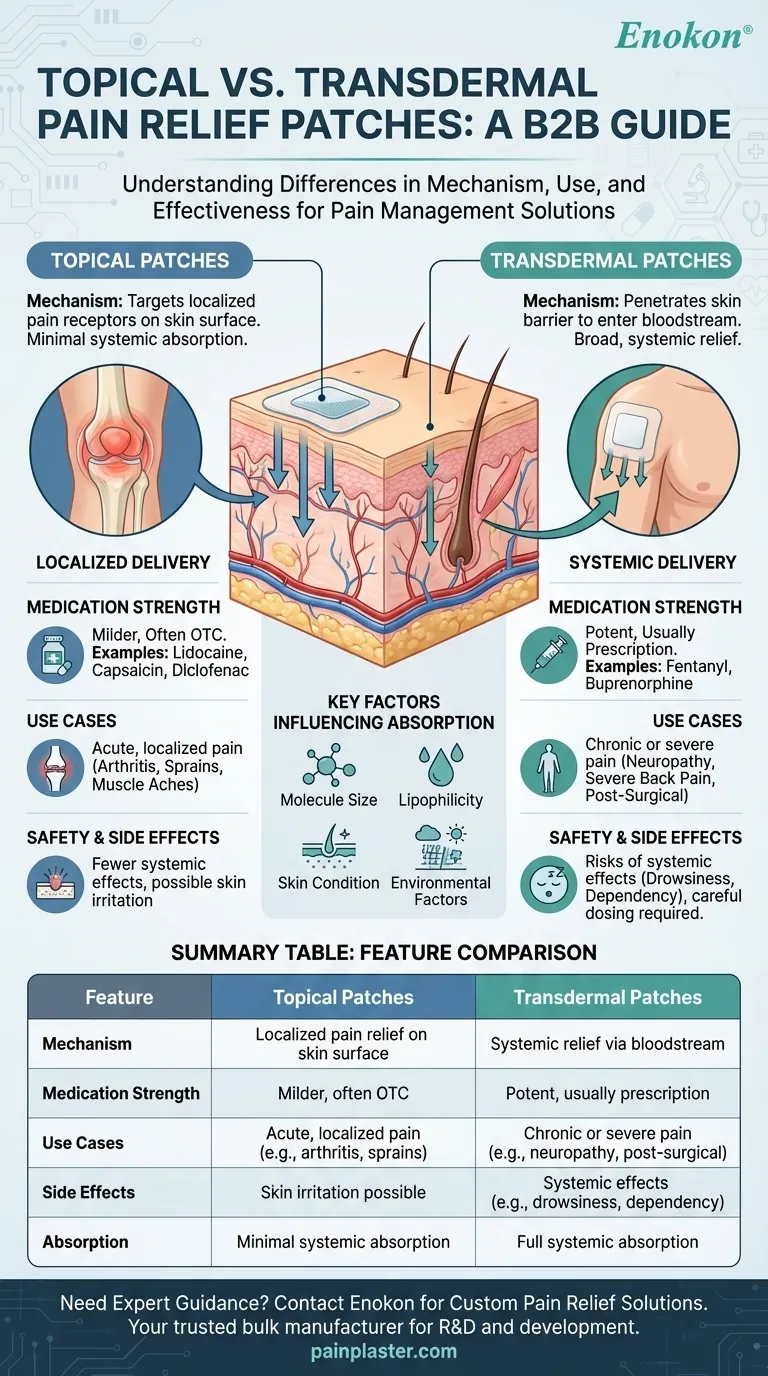 Quais são as diferenças entre os adesivos tópicos e transdérmicos para o alívio da dor?Escolha o adesivo certo para a sua dor Guia Visual