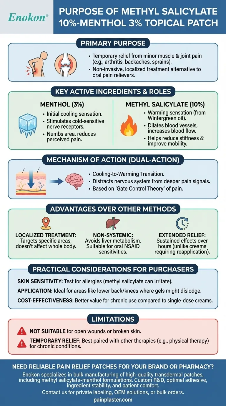 サリチル酸メチル10％-メントール3％外用パッチの目的は？筋肉痛と関節痛の標的緩和 ビジュアルガイド