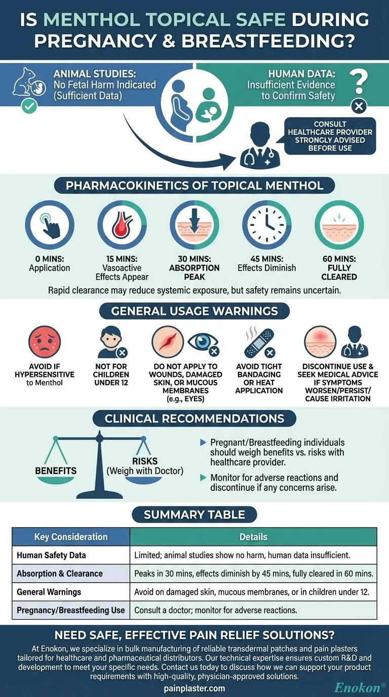 Is menthol topical safe during pregnancy and breastfeeding? Key Safety Insights Visual Guide