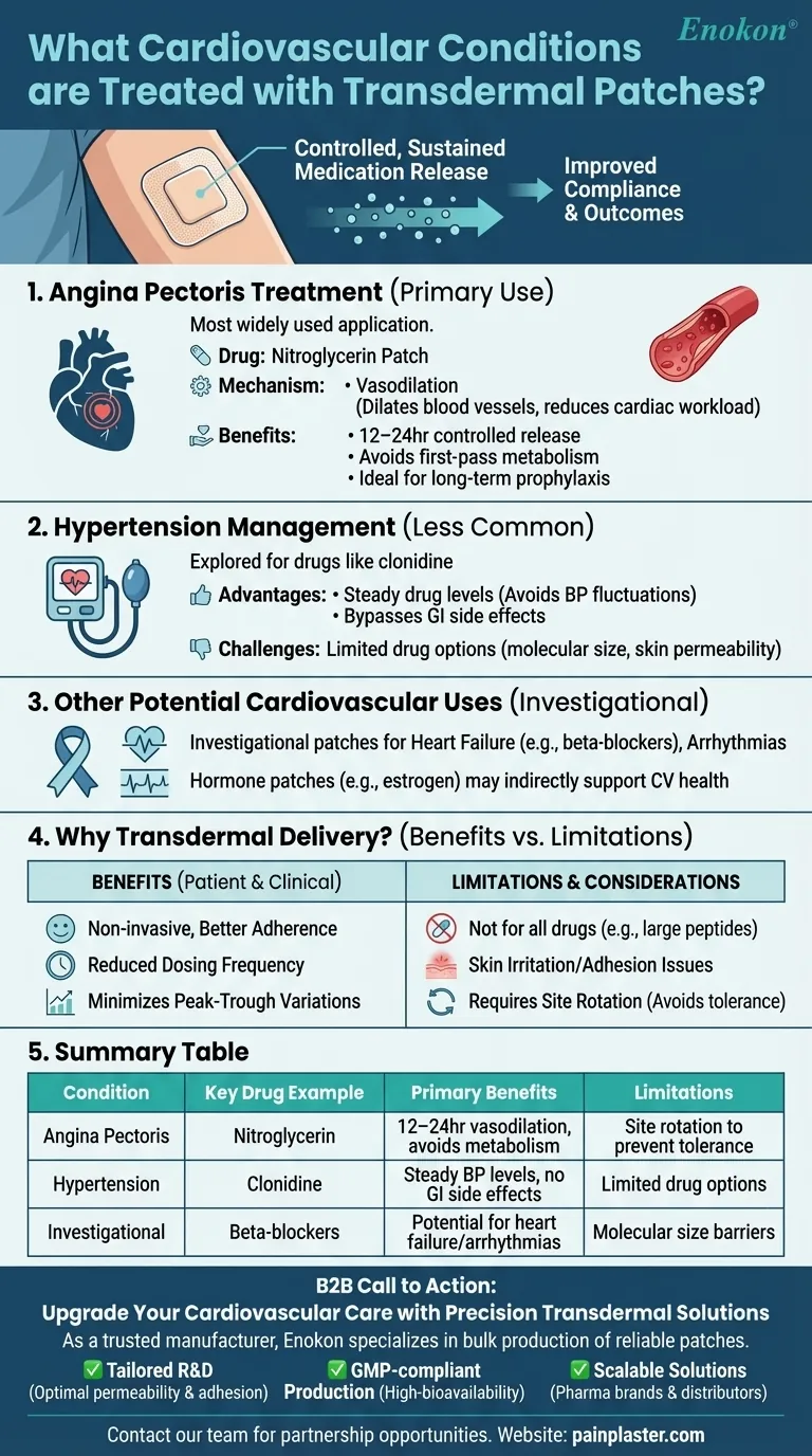 経皮吸収パッチで治療される心血管疾患とは？ターゲットを絞ったデリバリーで慢性期医療を最適化する ビジュアルガイド