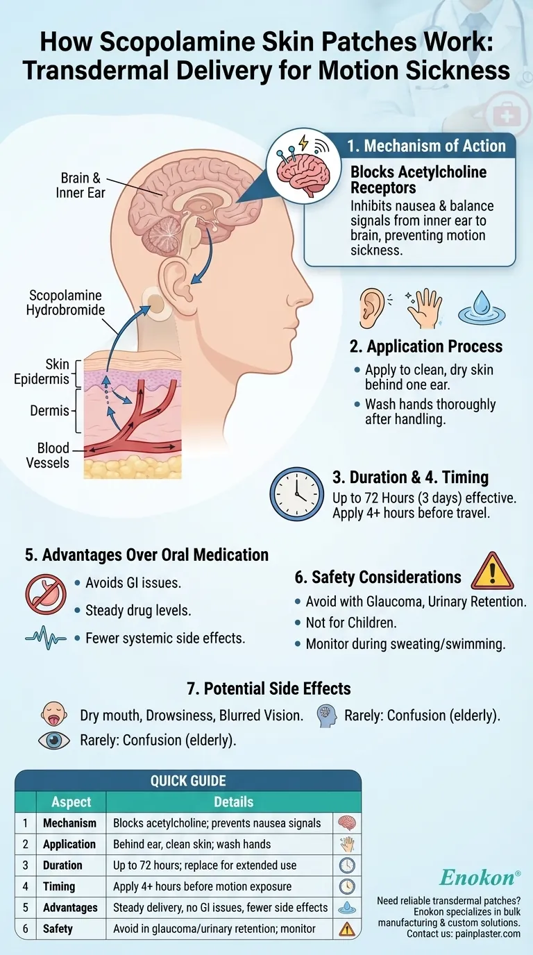 东莨菪碱如何用于皮肤贴剂？主要优点和应用指南 图解指南