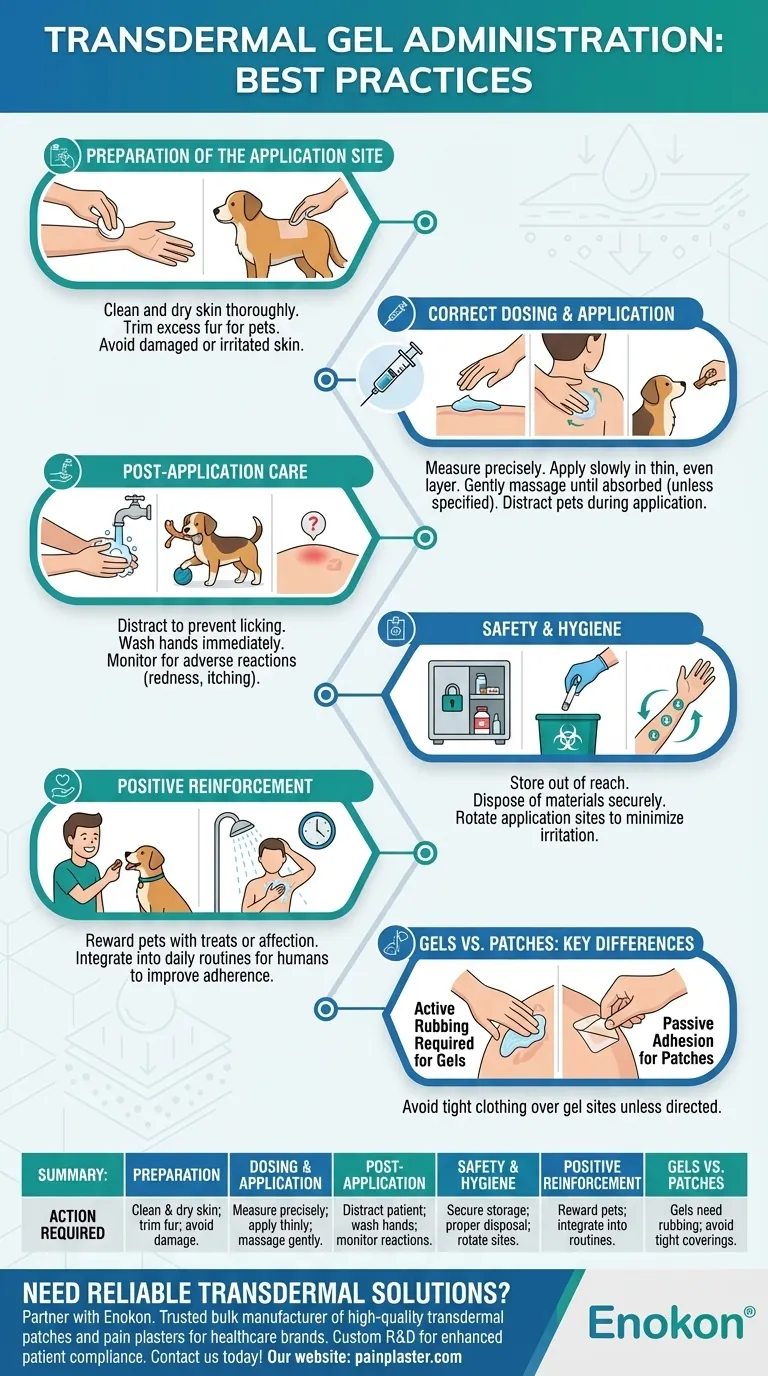 成功使用透皮凝胶药物的技巧有哪些？掌握安全有效的使用方法 图解指南