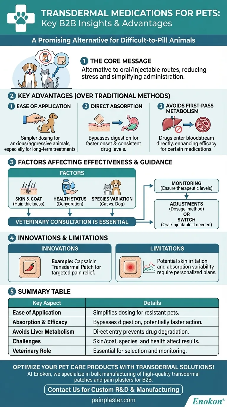 关于宠物透皮药物的关键信息是什么？无压力的宠物护理解决方案 图解指南