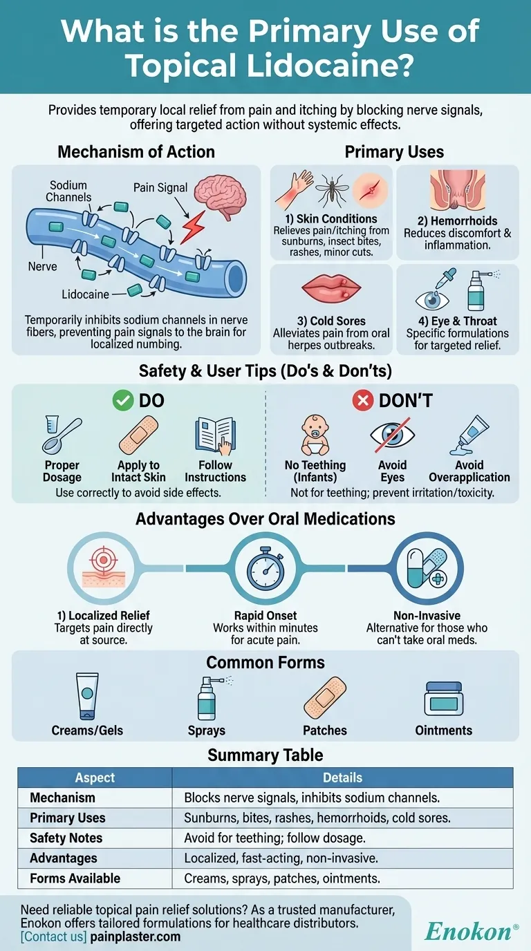 Qual é a principal utilização da lidocaína tópica?Alívio da dor direcionado para a pele e lesões menores Guia Visual