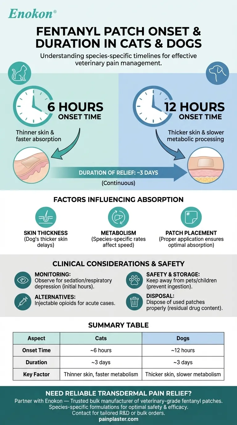 Quanto tempo demora um penso de fentanilo a fazer efeito em cães e gatos?Prazos de alívio da dor aprovados por veterinários Guia Visual