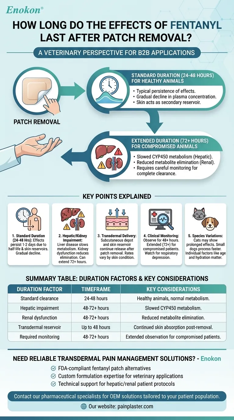 Как долго сохраняется действие фентанила после снятия пластыря?Ключевые факторы продолжительности объяснены Визуальное руководство