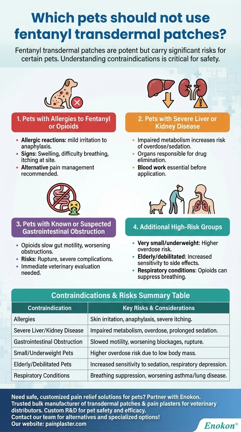 Which pets should not use fentanyl transdermal patches? Key Safety Risks Explained Visual Guide