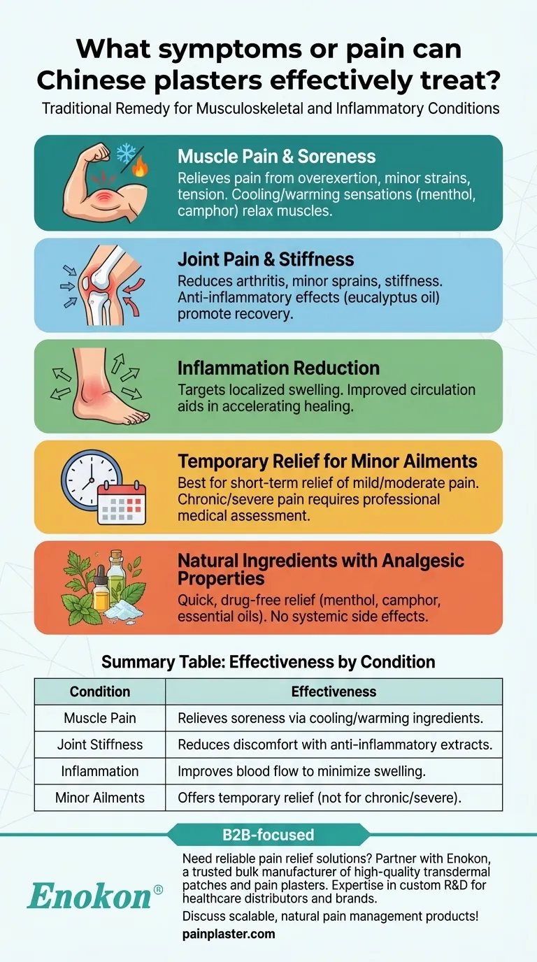 Que sintomas ou dores é que os pensos chineses podem tratar eficazmente?Alívio natural para dores musculares e articulares Guia Visual