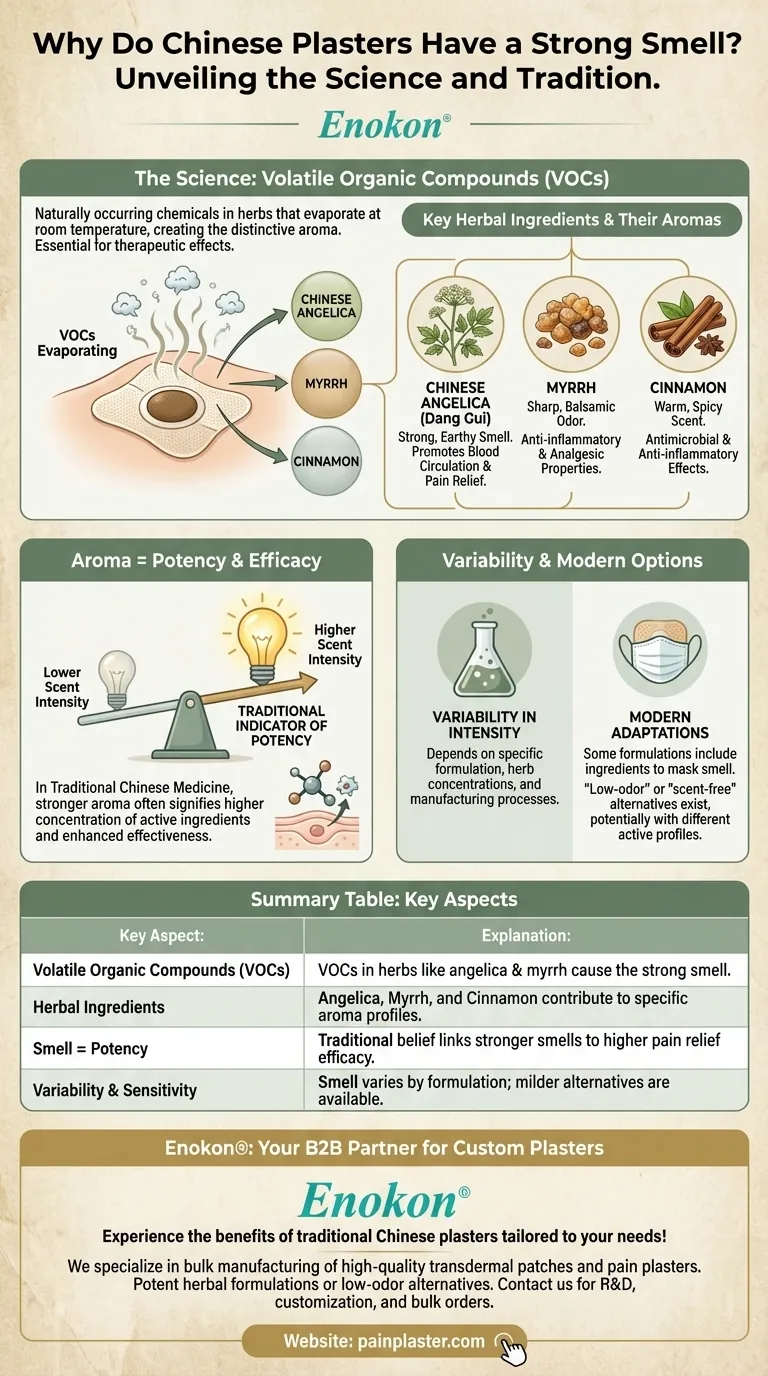 为什么中医膏药气味浓烈？揭开中药香气背后的秘密 图解指南