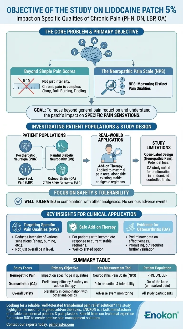 What was the objective of the study on the lidocaine patch 5%? Evaluating Pain Quality & Safety as Add-On Therapy Visual Guide